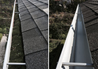 Professional Gutter Cleaning in Martinsburg, West Virginia