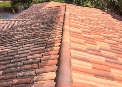 Professional Roof Cleaning Services in Martinsburg